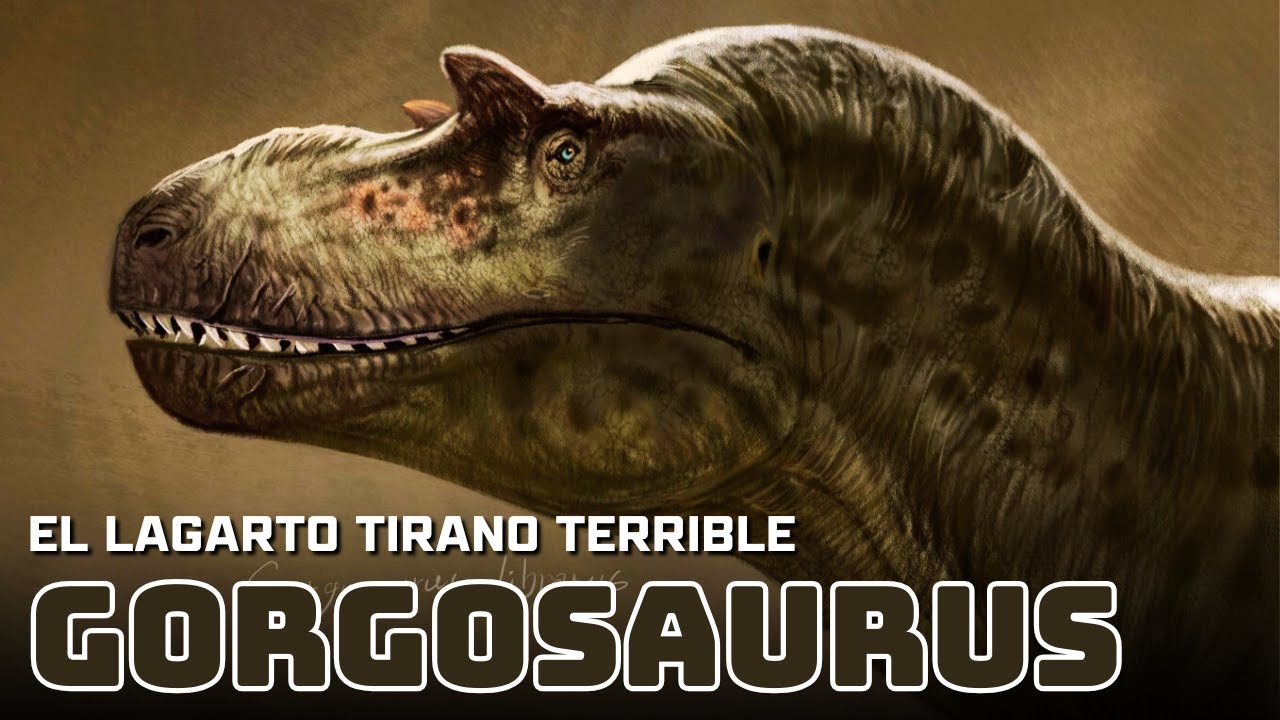 GORGOSAURUS - El modelo deportivo de los tiranos