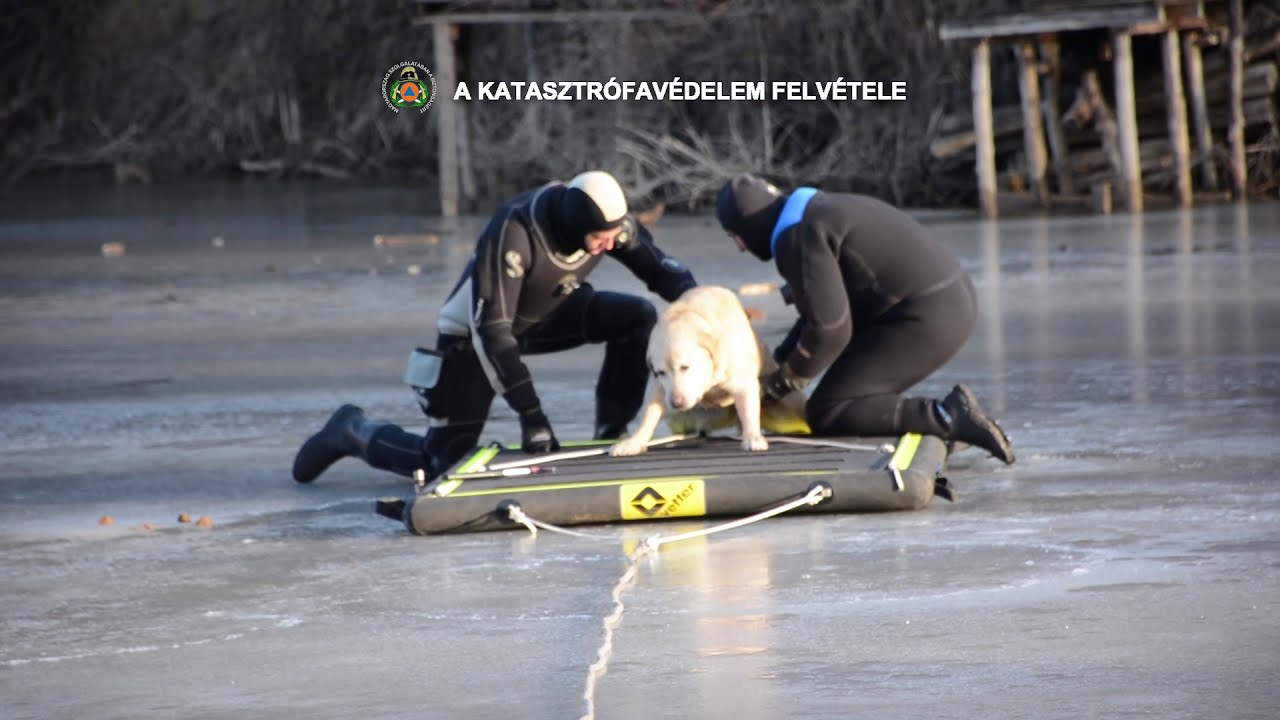 Labrador mentése a tó jegéről | TŰZOLTÓK BEVETÉSEN