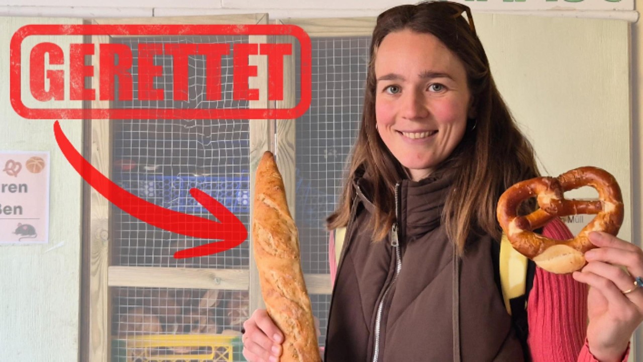 Was bei einer Lebensmittelrettung wirklich passiert: Foodsharing in Konstanz
