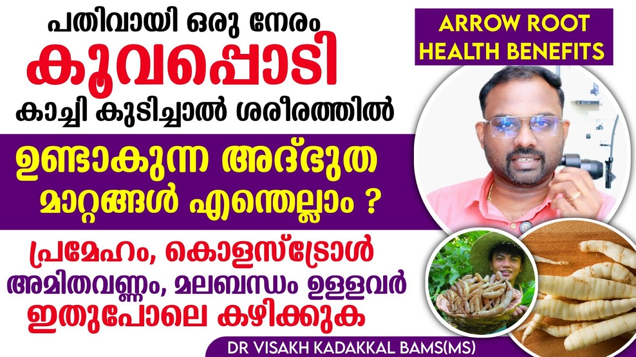 പതിവായി കൂവപ്പൊടി 🫚 കഴിച്ചാൽ ശരീരത്തിൽ ഉണ്ടാകുന്ന അത്ഭുത മാറ്റങ്ങൾ | ഗുണങ്ങളും ഉപയോഗരീതിയും അറിയാം 💯
