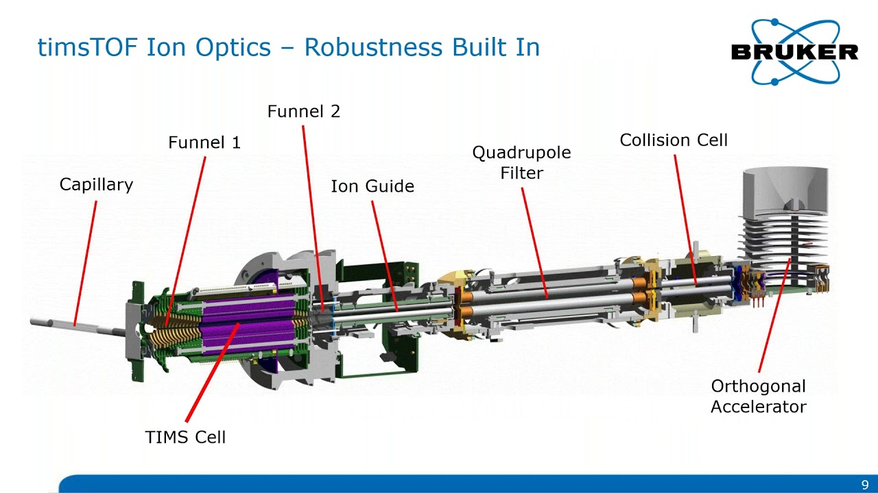 New dimension of polymer analysis – timsTOF fleX workflows and capabilities