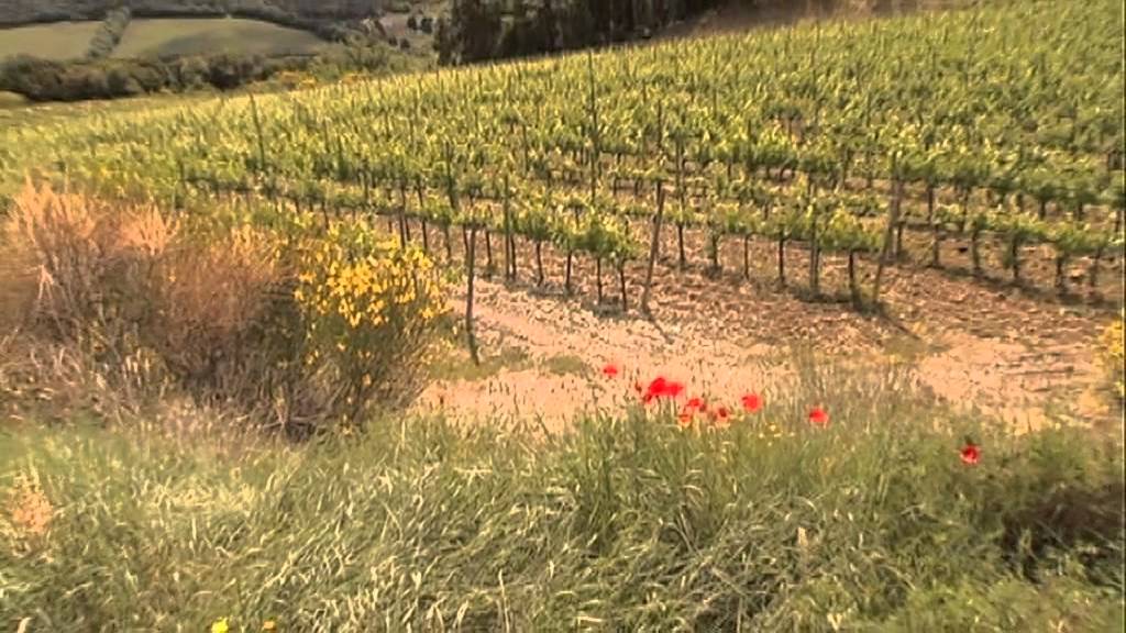 Mastrojanni - Storica l'azienda e il suo Brunello di Montalcino