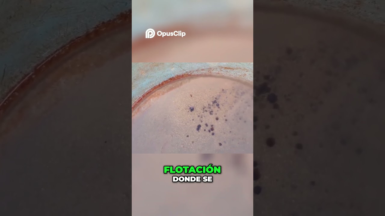 Flotaci&oacute;n de Oro  El Secreto del Minado Efectivo