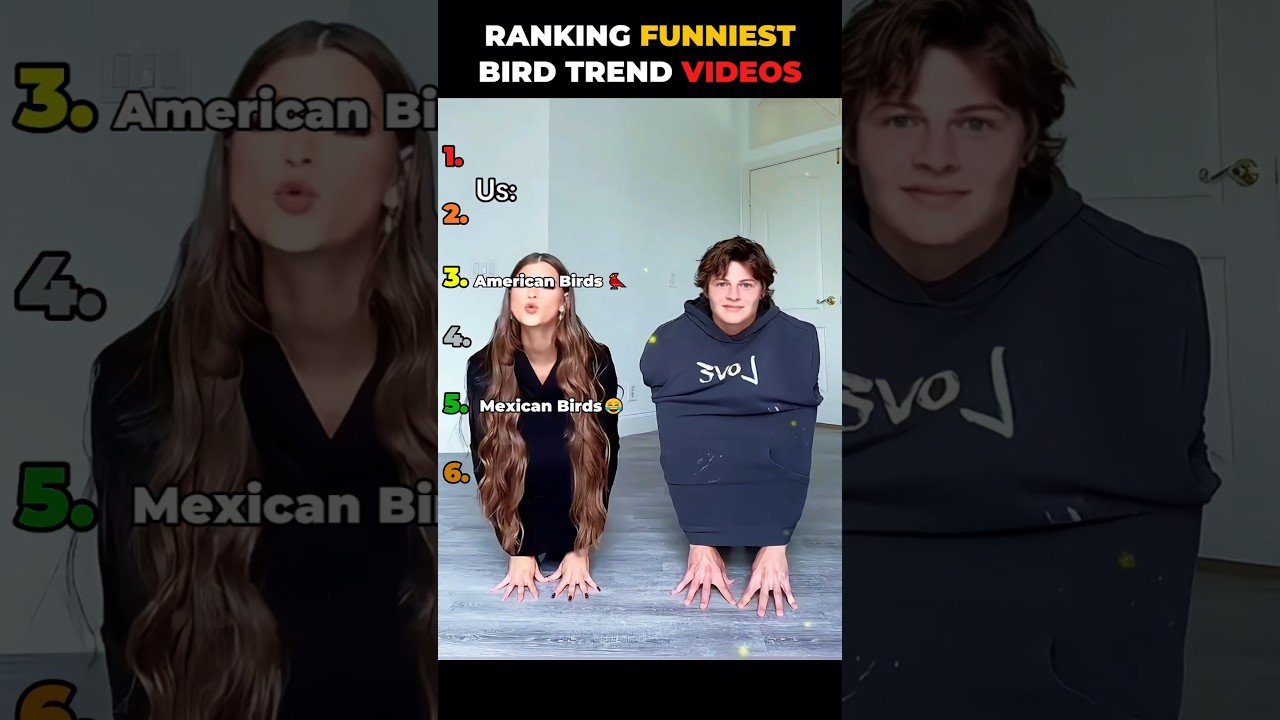 Ranking best bird trend videos 😂
