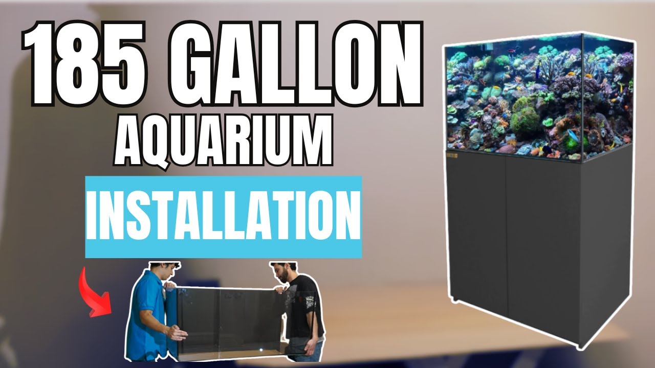 AquaDream New Coral Reef Aquarium Installation Guide
