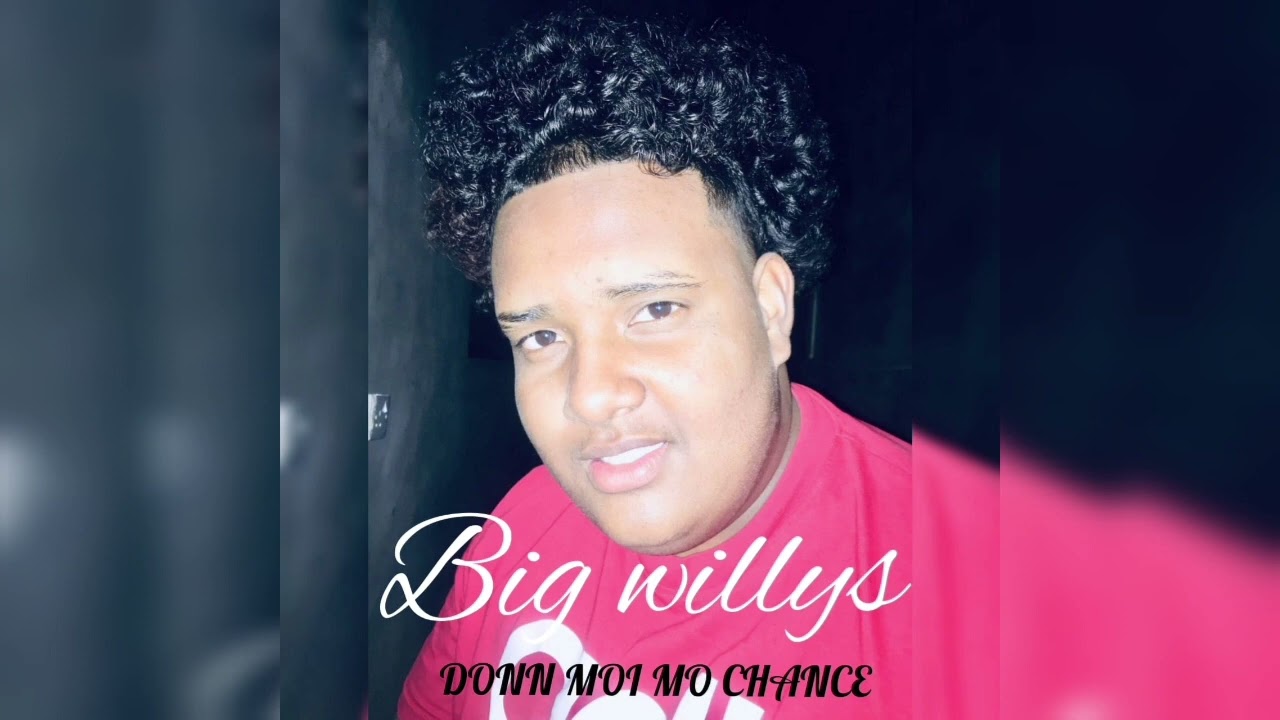 Bigg Willys - Donn Moi Mo Chance