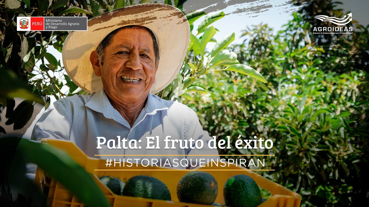 #HistoriasQueInspiran - Palta: El fruto del éxito.