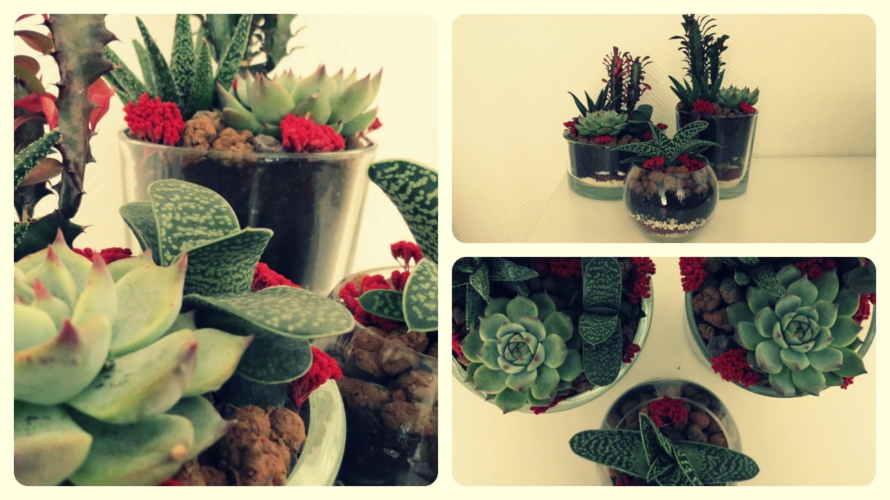 Sukkulenten im Glas * Planting Succulents