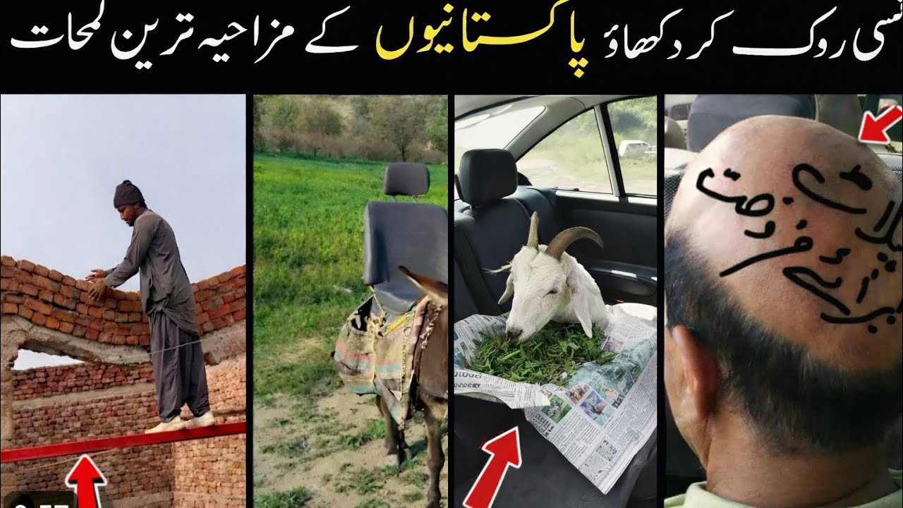 Pakistani and India People Funny 🤣 video 