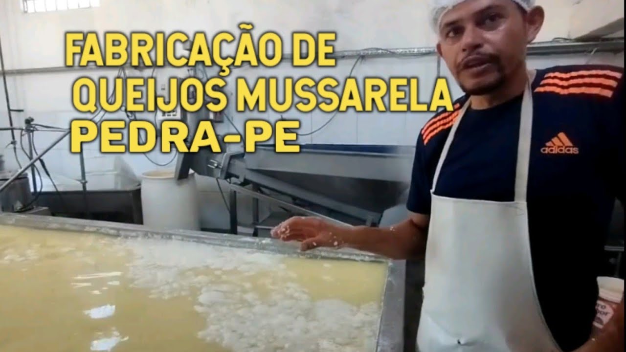 Fabricação de queijo mussarela em Pedra-PE