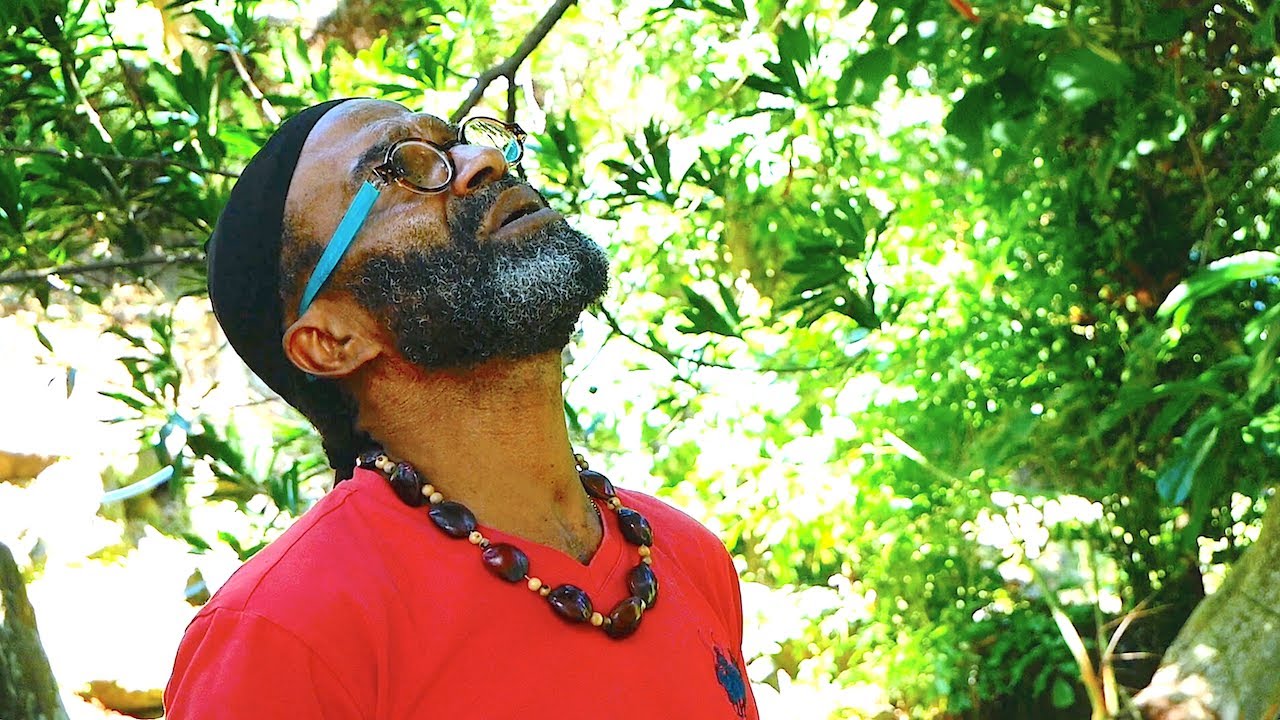 Il a planté son 