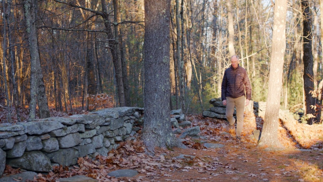 The Forest Refuge: The Memorial Wall