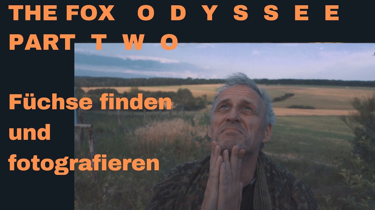 Füchse finden und fotografieren - The Fox Odyssee Part Two