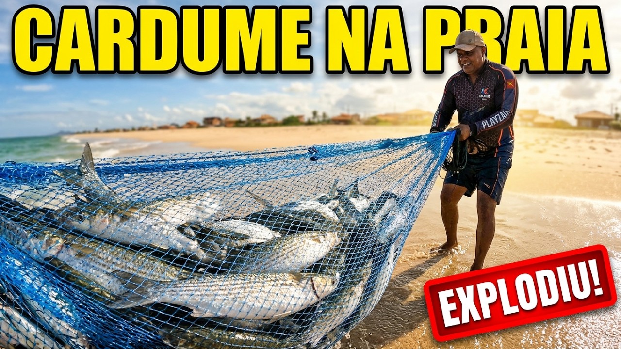 Cardume na tarrafa na pescaria de praia 