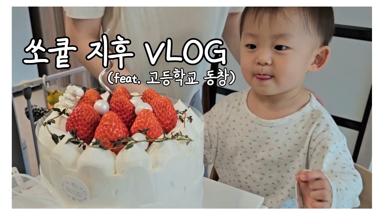 귀여움 폭발 조카 브이로그 | 지후와의 하루