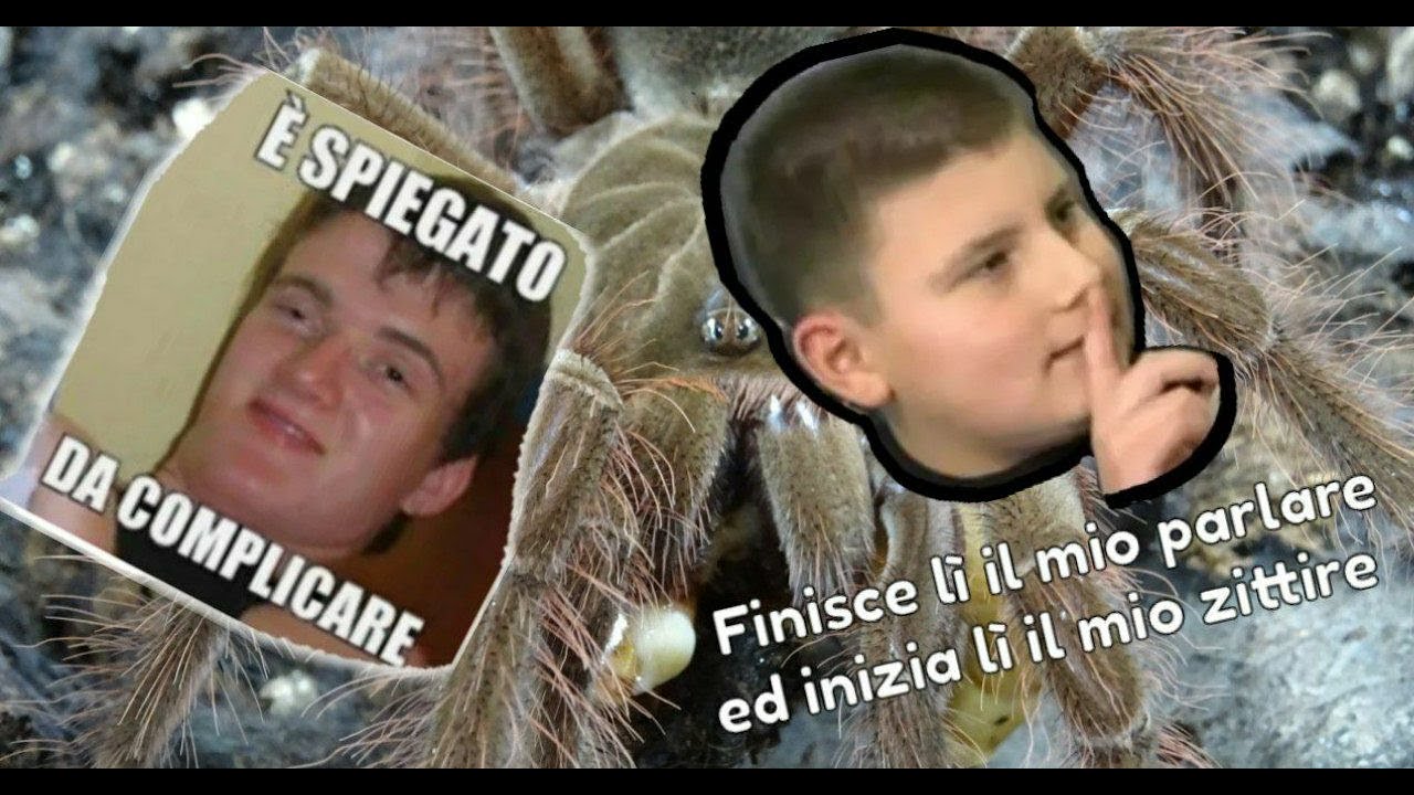 Le problematiche della muta, come evitare spiacevoli sorprese!