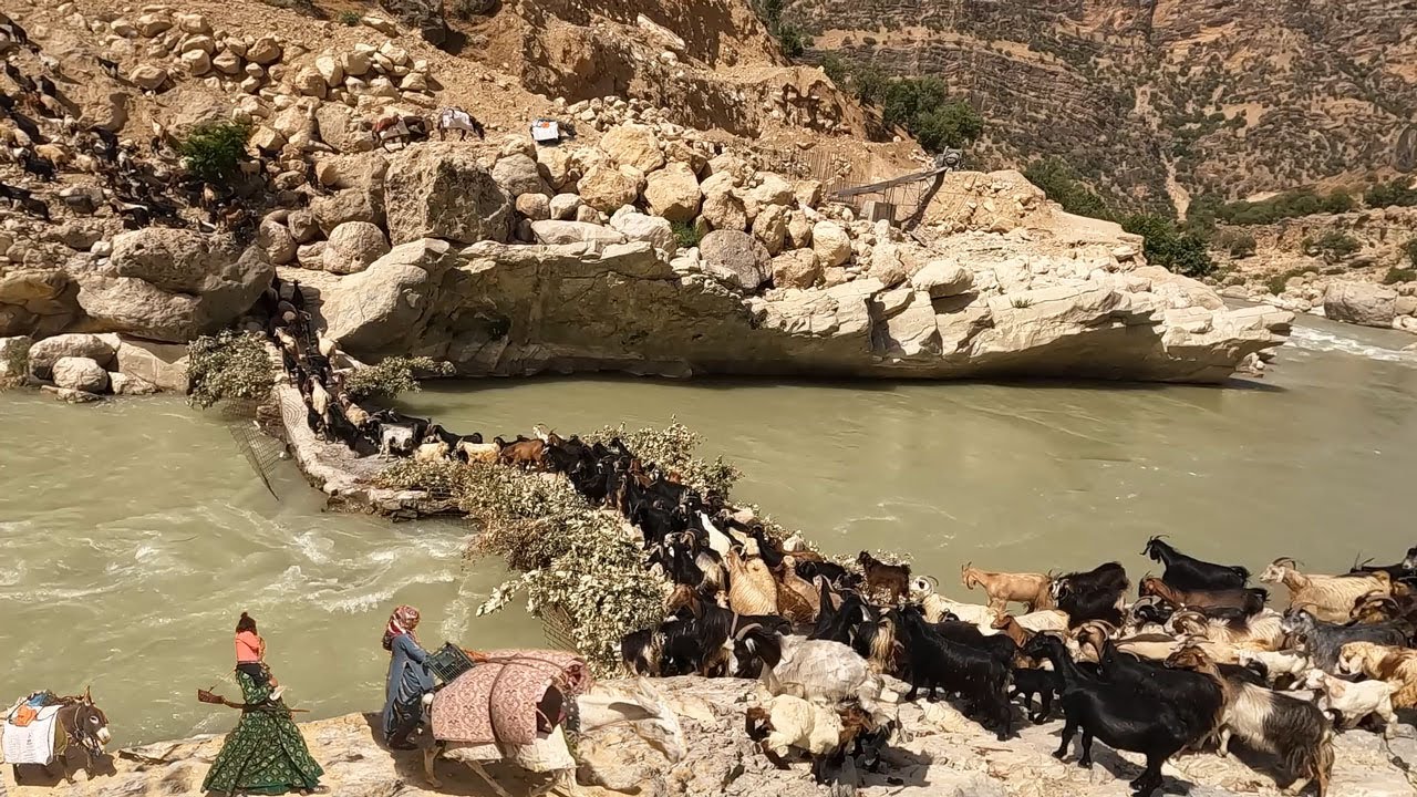 Difficult migration of nomads through impassable path || nomadic life💚💚💚