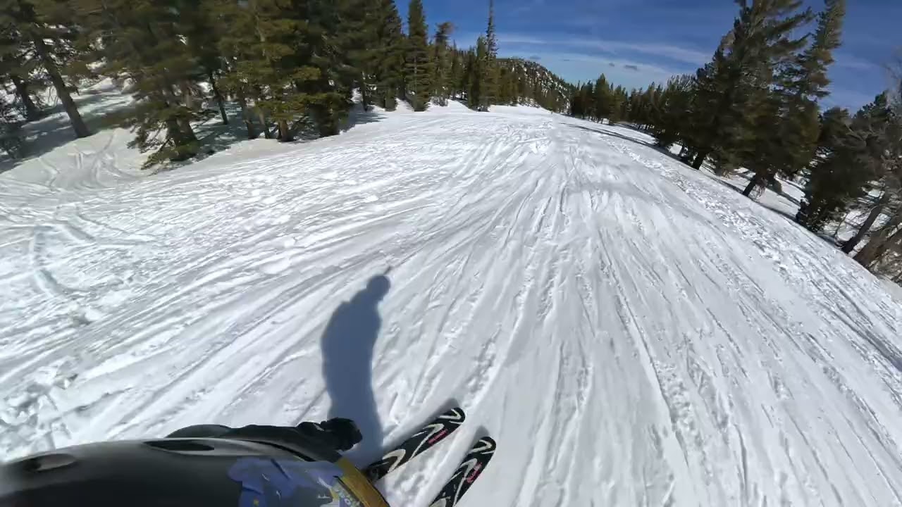 Midwesterner vs. Black Diamond Moguls