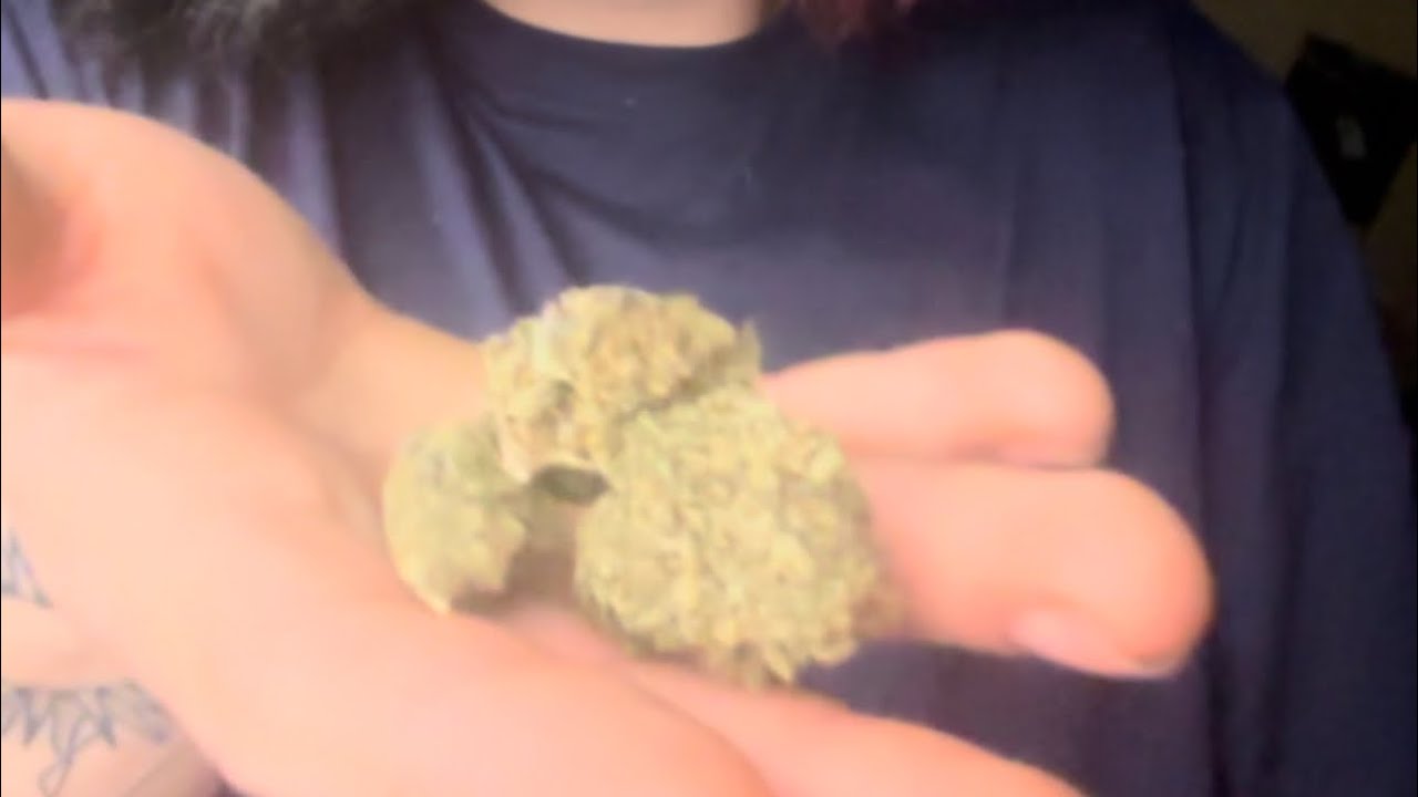 CBD HEMP DIRECT Gelato 41 Strain Review