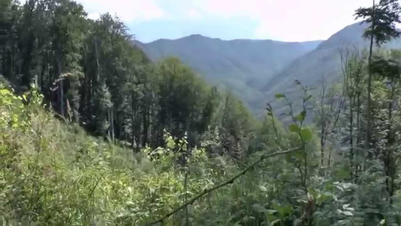 Piatra Bulzului -Blidari-Maramures.