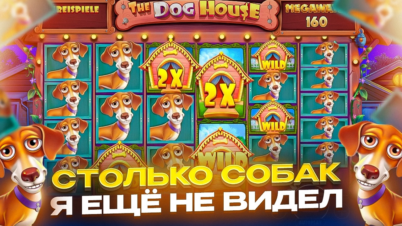 САМАЯ ЛЮТАЯ СЕССИЯ !! ЗАНОС НЕДЕЛИ ЗА ЗАНОСОМ, ПОЙМАЛ ПОЛЯНУ СИНИХ СОБАК В THE DOG HOUSE MEGAWAYS !!