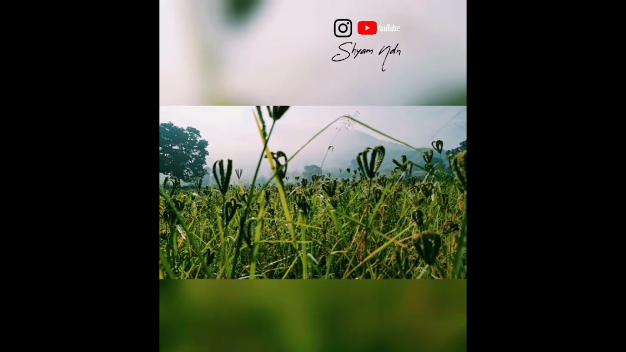 Lambasingi || Andhra Kashmir || Tourism || Visakhapatnam || Ndn Vlogs