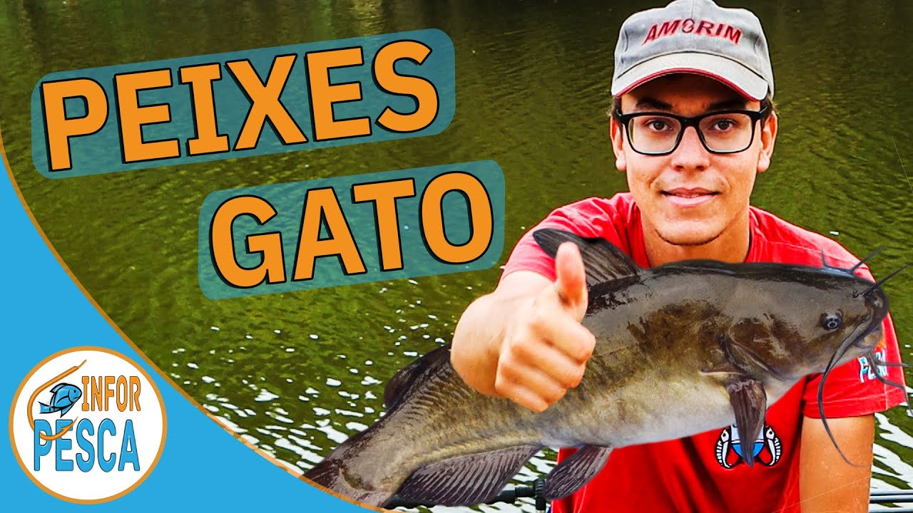 Pesca à francesa aos peixes gato