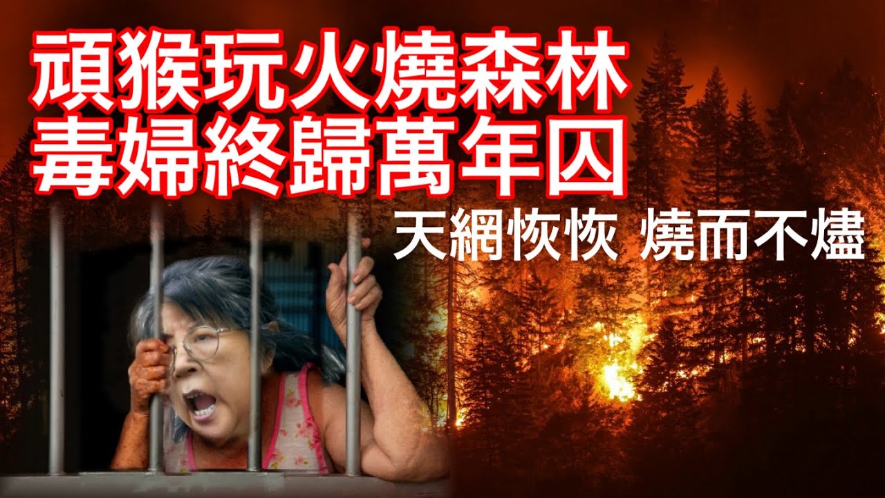260129【鴻綠燈】EP1217潘焯鴻 | 感謝警方嚴正處理領都非法集結臭飛 12人仍在逃未落網 | 大圍標露破綻 競委會展開大規模搜捕 | 錦英苑管理委員會應該改善透明度及加入不同聲音 📱