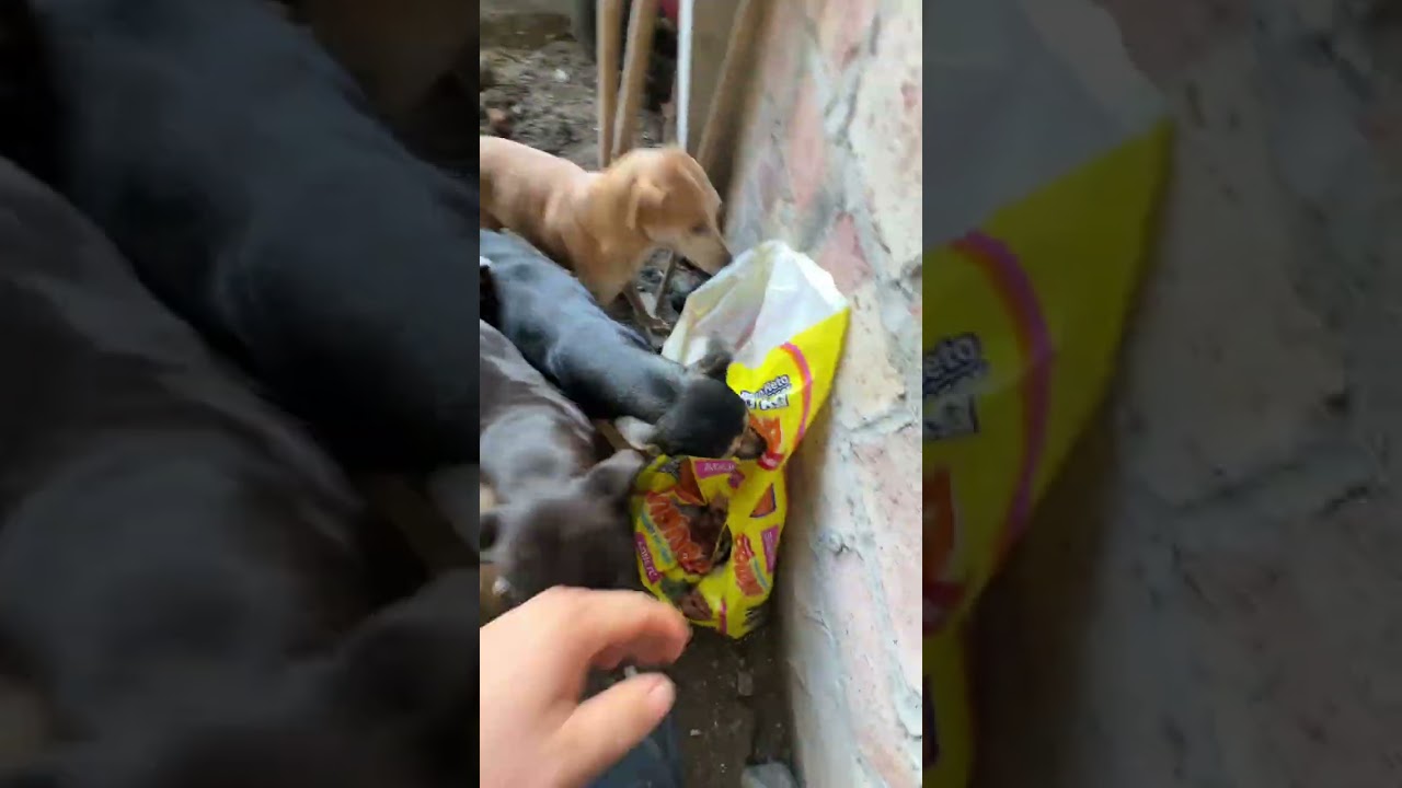 Una locura cuando llego del trabajo 