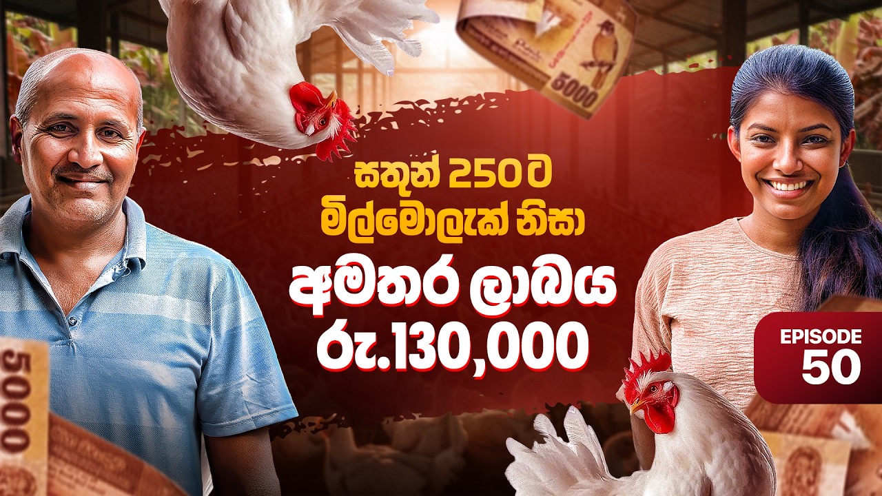 සතුන් 250න් රු. 130,000 ක අමතර ලාභයක්! | Milmolac Success Story | Happy Farmer Ep 50