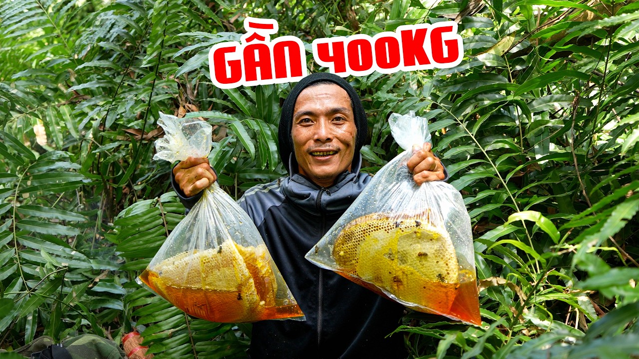 Luồng Ong Này Quá Khủng, Liên Tục Là Tổ Size Đại