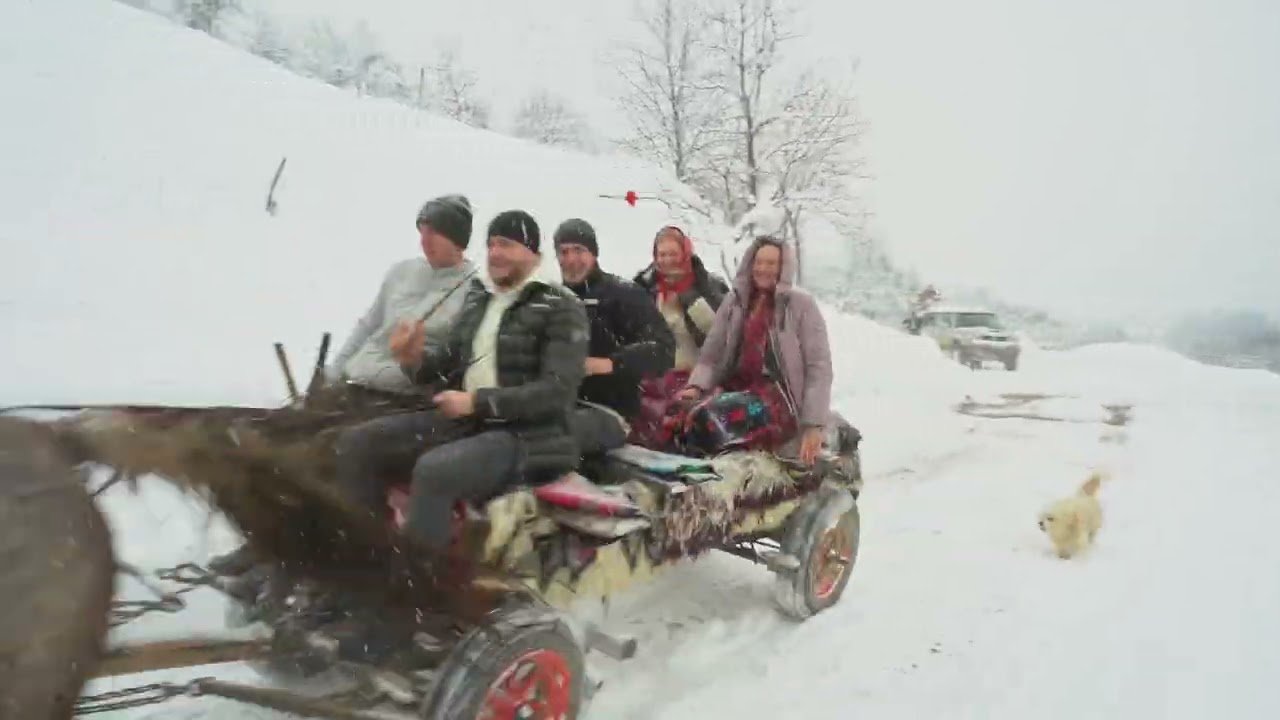 Колядка 