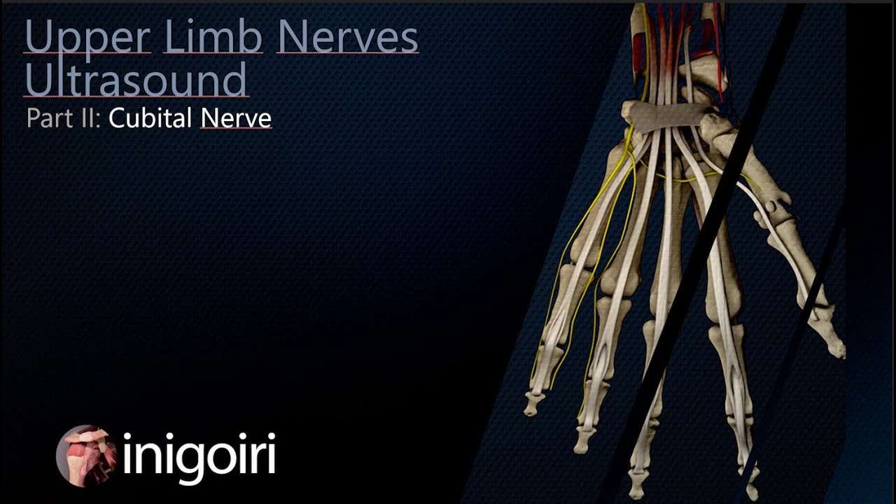 ULNAR NERVE ULTRASOUND
