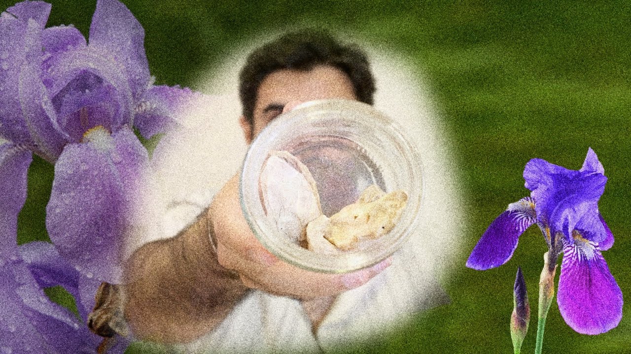 خمس عطور تحتوي على النوته الغامضة (جذور السوسن)، شاركوني عطوركم؟ | 🪵🌺🌷