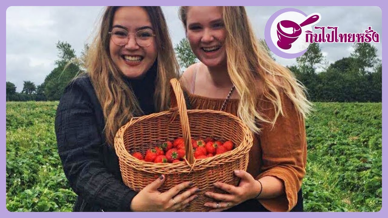 Picking Danish Strawberries 🍓🍓🍓with Camilla and her friend