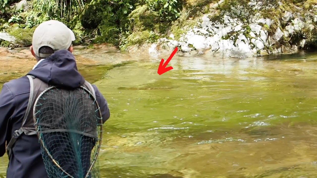 REMOTE Trout Fishing in New Zealand / GIN CLEAR Water and  BIG Brown Trout