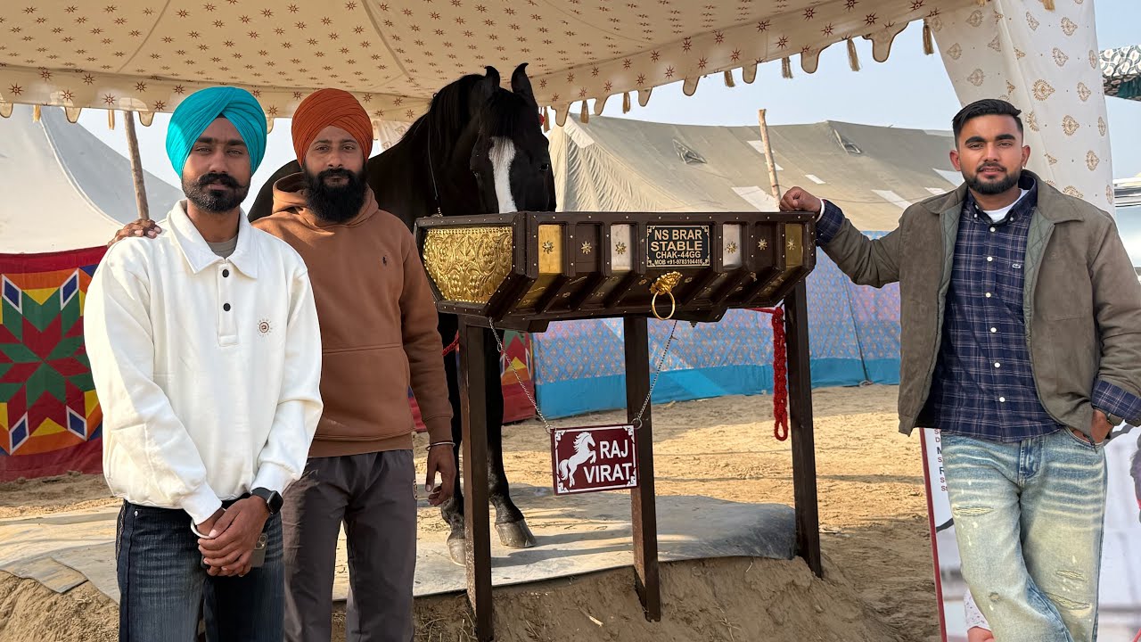 2k25Horse Fair Garry(Shahbaz)Judge||Punjab shingar🐎#hanumangarh #horsefair #punjab #vlogs #viral 