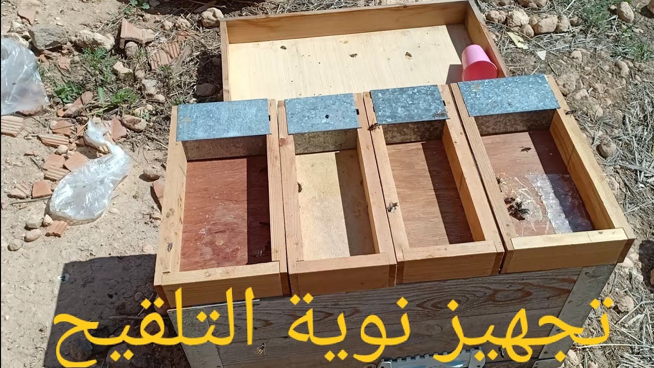 الحلقة 97 كيفية ملئ نوية التلقيح