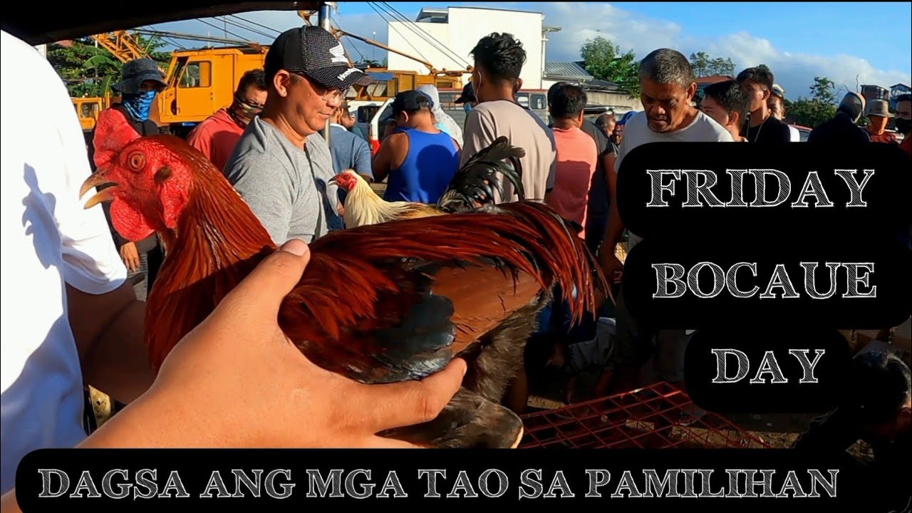 FRIDAY BOCAUE DAY DAGSA NA NAMAN MAGAGANDANG MANOK