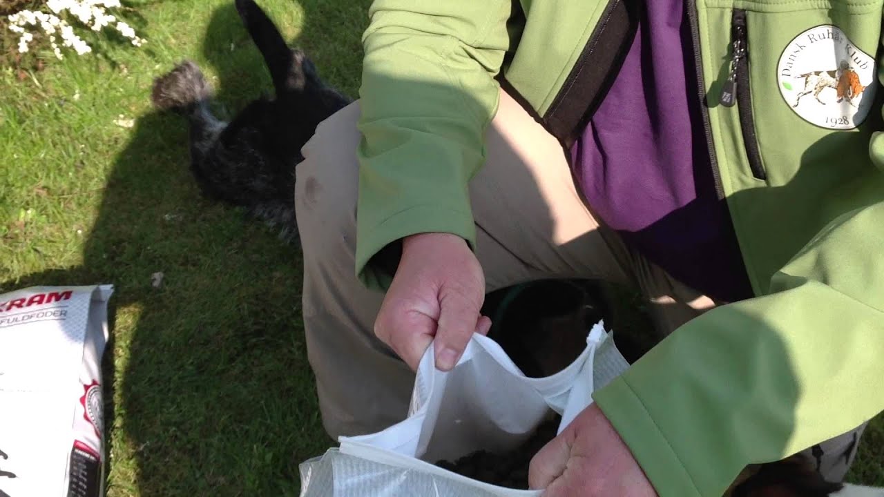 Faunakram Kornfri hundefoder med Lam og NPF forebygger tandsten og allergi