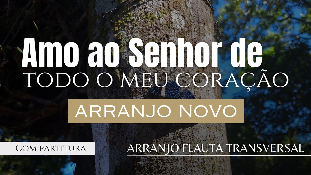 Amo ao Senhor de todo o meu coração - Flauta Transversal (ARRANJO NOVO) | ESTEVÃO MIRANDA