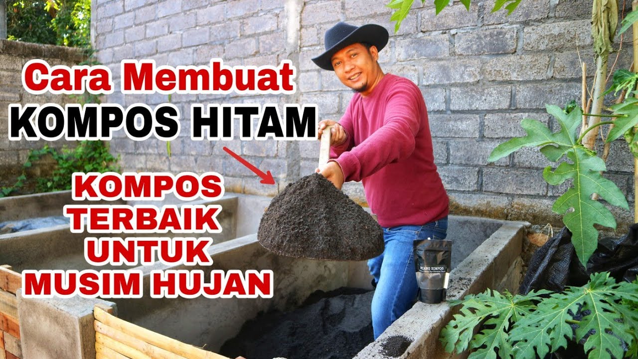 Cara Membuat KOMPOS HITAM, Penyelamat kebun di Musim Hujan