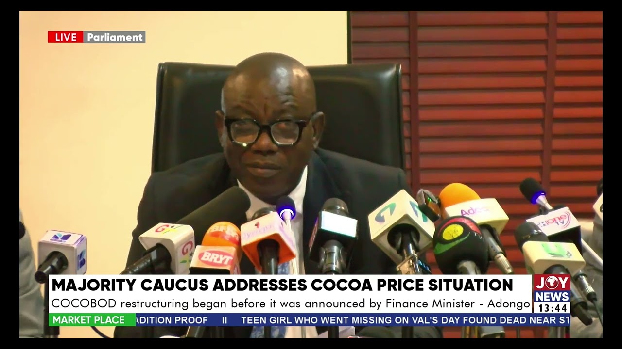 Pollination and irrigation funds misused as cocoa production plummets