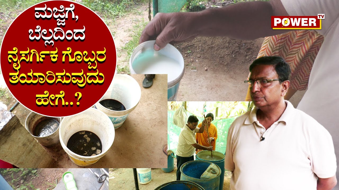 Mannina Maga Venkatesh : ಮಜ್ಜಿಗೆ, ಬೆಲ್ಲದಿಂದ ನೈಸರ್ಗಿಕ ಗೊಬ್ಬರ ತಯಾರಿಸುವುದು ಹೇಗೆ..?| Power TV