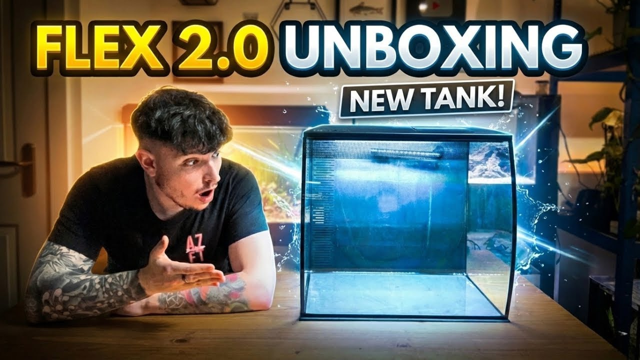 Стоит ли покупать Fluval Flex 2.0 57L? | Распаковка и мои впечатления