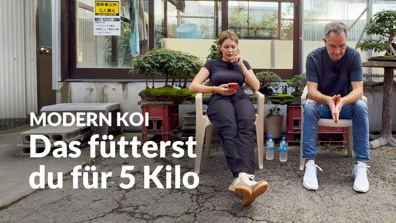 Wieviel Futter braucht es f&uuml;r 5kg Koigewicht | Modern Koi Blog #7692