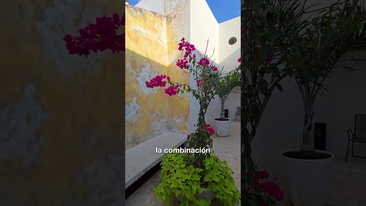 Hotel Las Lupitas en Campeche #HotelEnCampeche #ArquitecturaMexicana #EdificioRestaurado