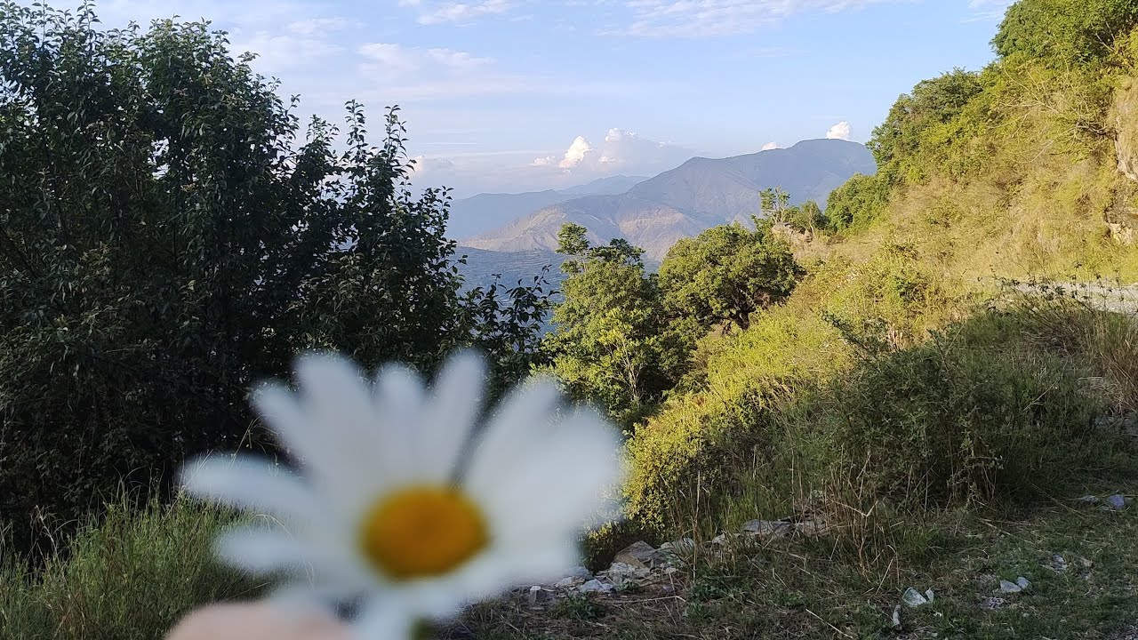 Today sunset 🌇 ✨️ 💛 😍