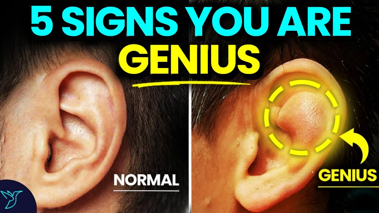 5 Signs that Shows You're GENIUS 🔥 | IntelligenceTest | Rewirs