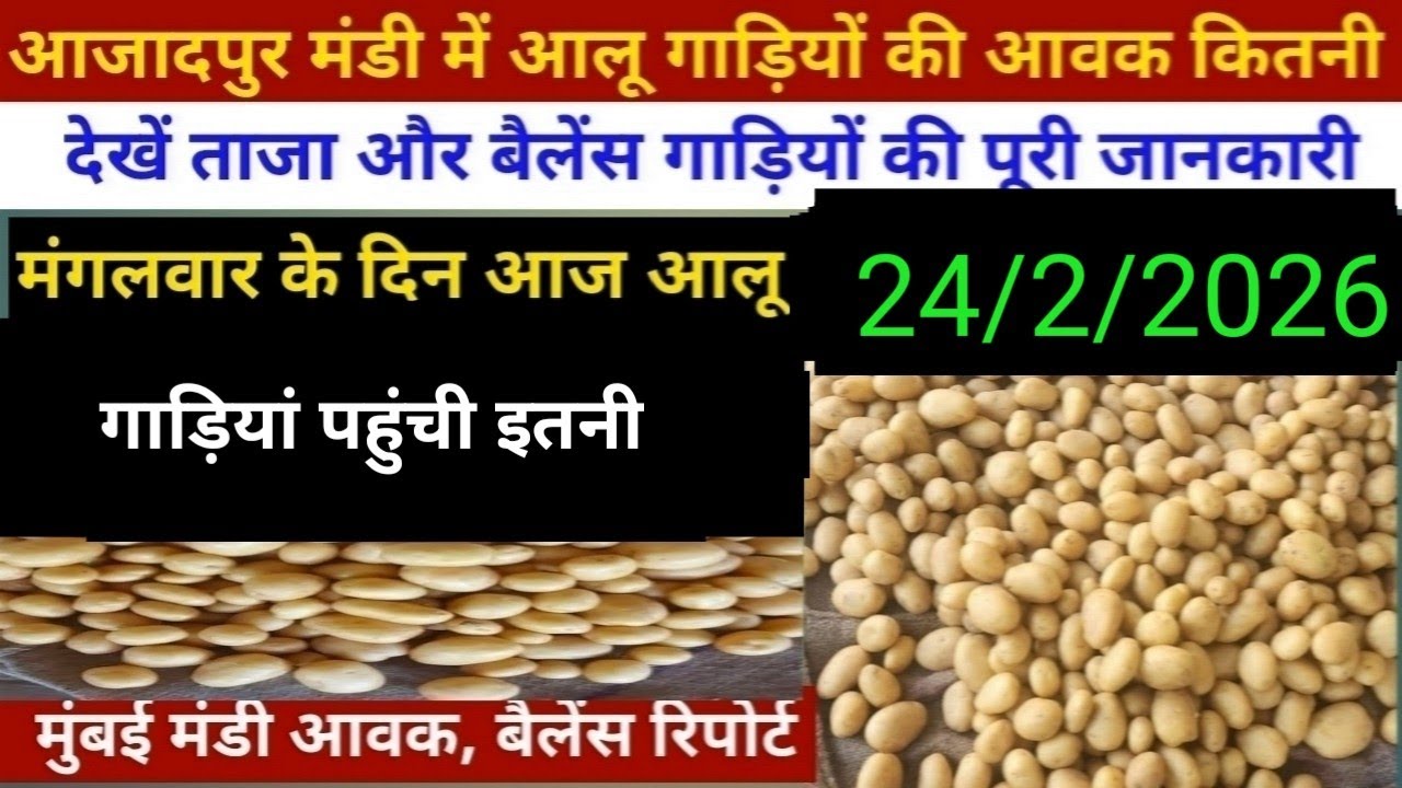 24/2/2026 आजादपुर मंडी में आलू गाड़ियों की आवक रिपोर्ट//मुंबई मंडी आवक बैलेंस रिपोर्ट//aalu ka bhav 